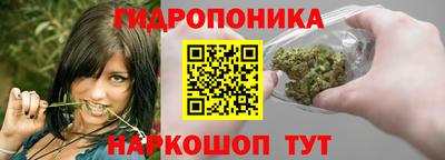 амф Владикавказ