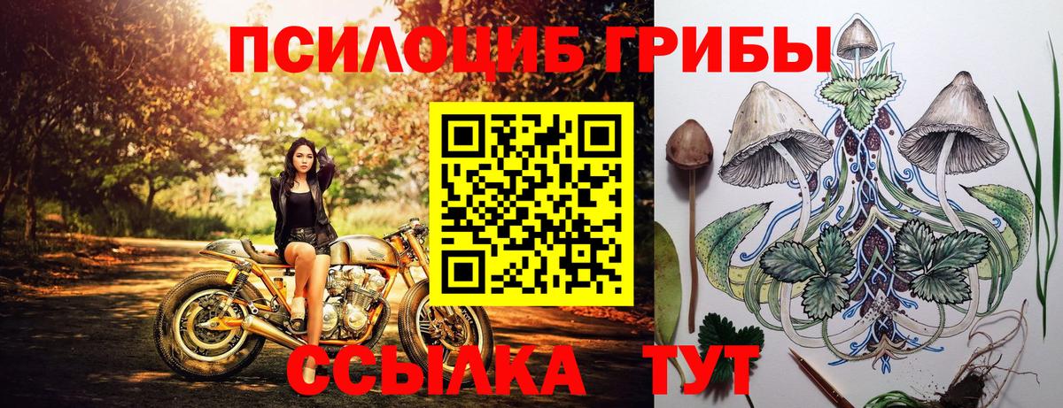 Новоалтайск  Галлюциногенные грибы Psilocybine cubensis  даркнет сайт  Вход с VPN 